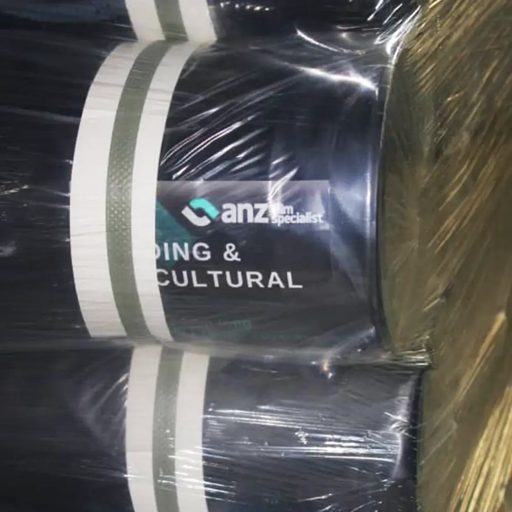 ANZ Film Specialists IMG 12 ANZ Film Specialists IMG 12